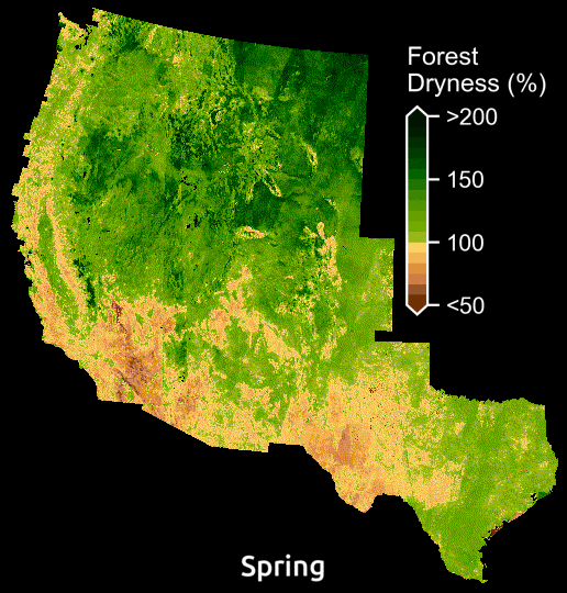 Seasonal changes in forest dryness mapped using our AI model. Forest dryness is displayed as a percentage of water in trees relative to their dry biomass.